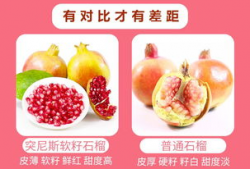 石榴视频在线观看,在线观看，畅享视听盛宴